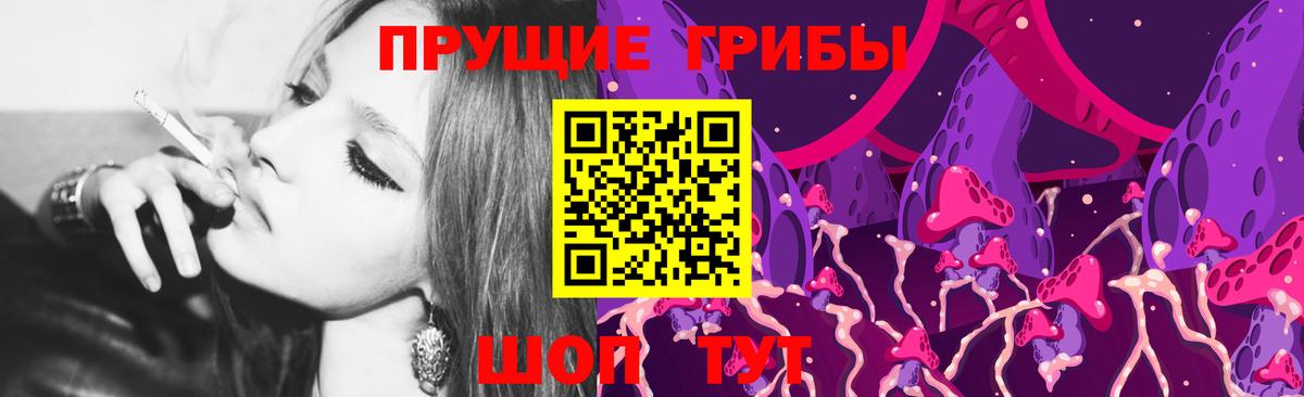 Галлюциногенные грибы GOLDEN TEACHER  Вход с VPN  Санкт-Петербург 